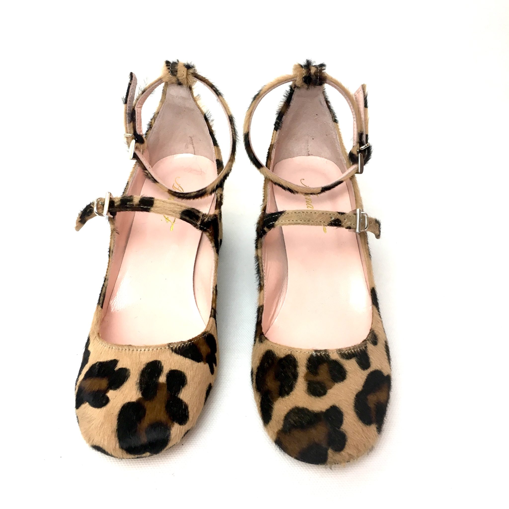 Anna F 8937 cavallino macu (3)