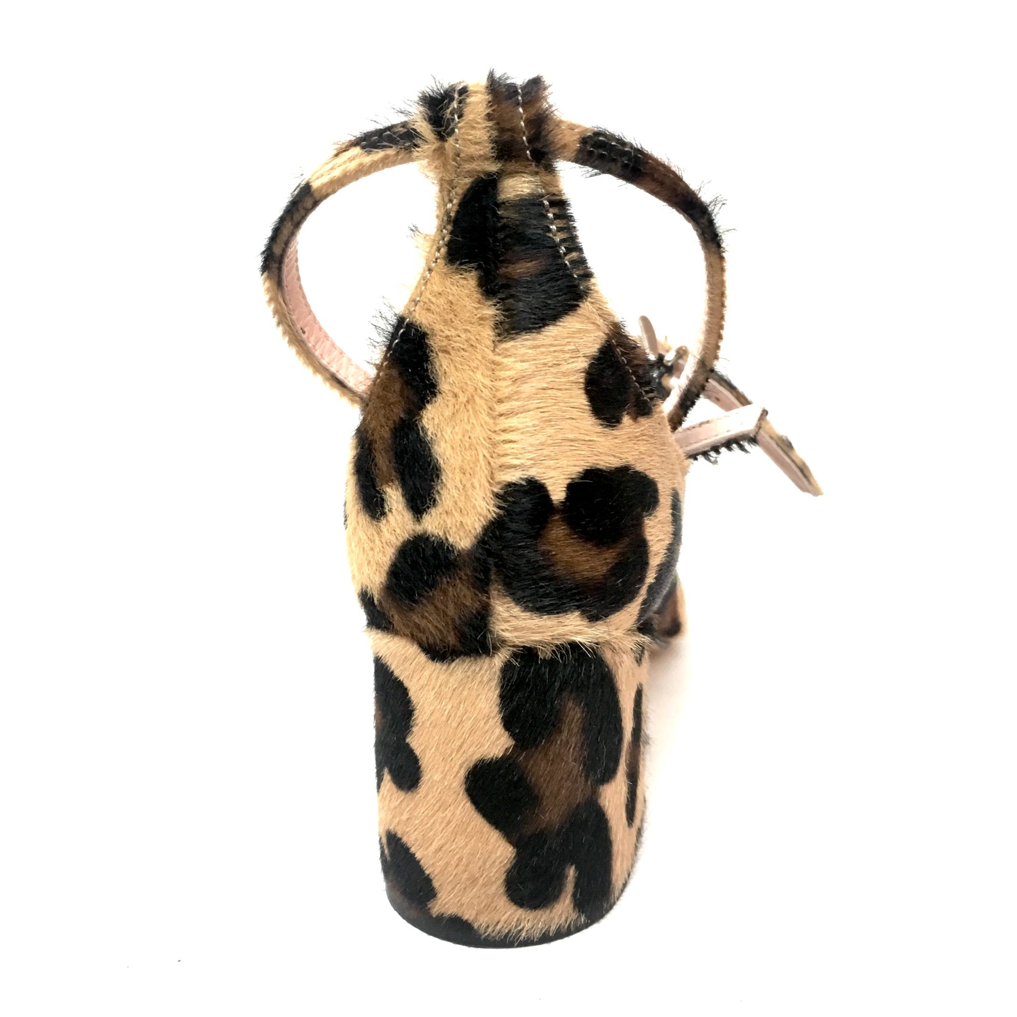 Anna F 8937 cavallino macu (5)