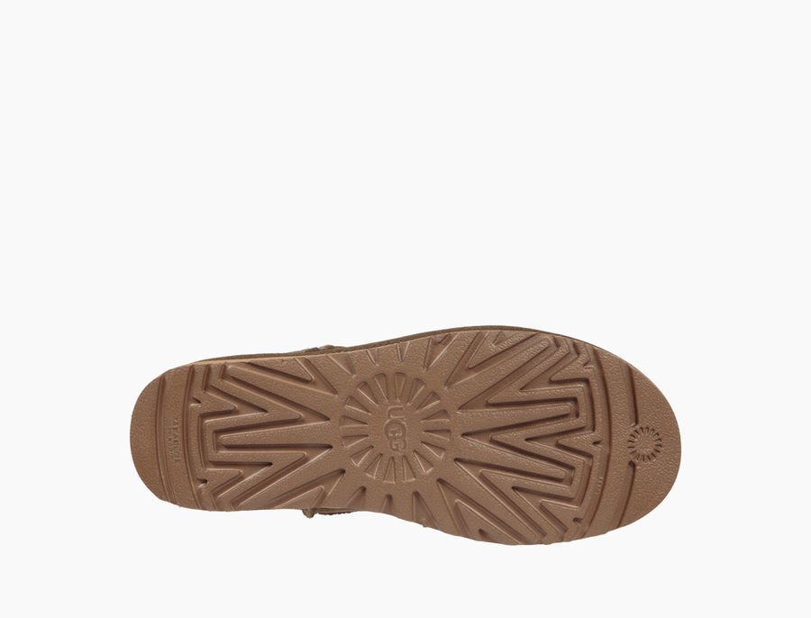 UGG CLASSIC MINI II SPRUCE (1)